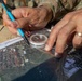 A person wearing military camouflage uniform is using a baseplate compass and a blue pencil to plot or mark positions on an aerial/satellite map. The individual is wearing a gold wedding band on their right hand. The activity appears to be military land navigation or operational planning conducted outdoors.