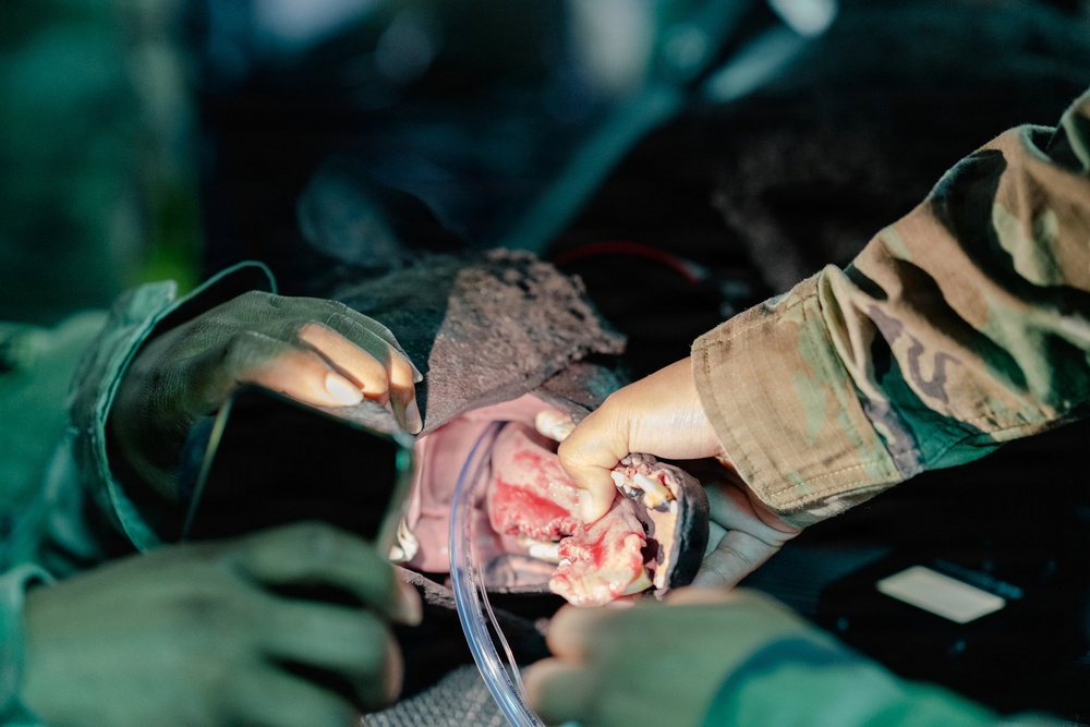 Illinois Army National Guard Medics Train in Lifesaving Canine Casualty Care