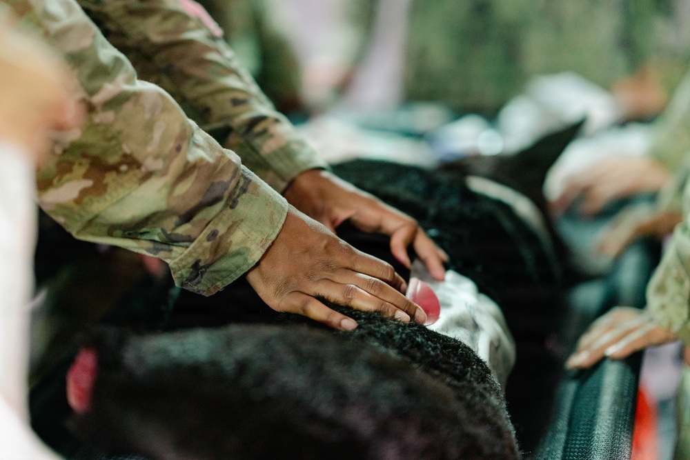 Illinois Army National Guard Medics Train in Lifesaving Canine Casualty Care