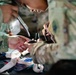 Illinois Army National Guard Medics Train in Lifesaving Canine Casualty Care