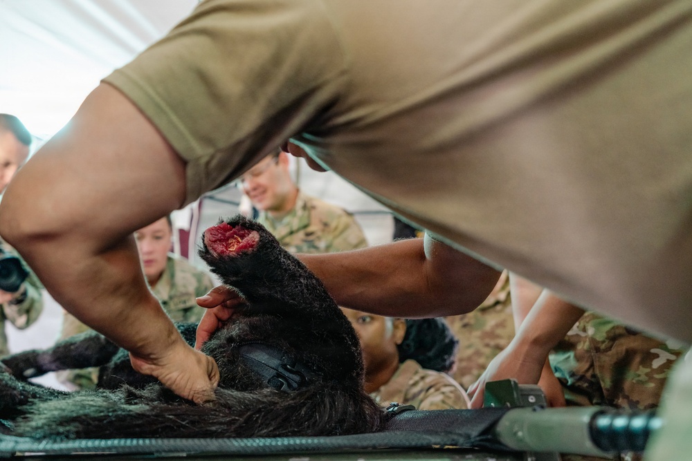 Illinois Army National Guard Medics Train in Lifesaving Canine Casualty Care