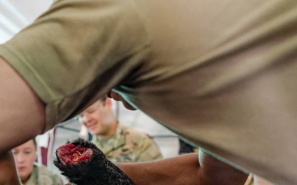 Illinois Army National Guard Medics Train in Lifesaving Canine Casualty Care