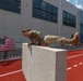 A soldier in full camouflage uniform is performing an obstacle course challenge, scaling or vaulting over a large concrete block on a red athletic track. Spectators, including one holding an American flag, cheer from behind a barrier tape. The setting appears to be a military fitness competition or international military sports event.
