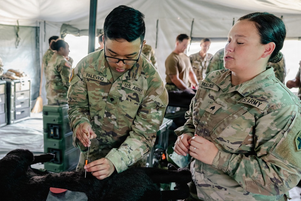 Illinois Army National Guard Medics Train in Lifesaving Canine Casualty Care