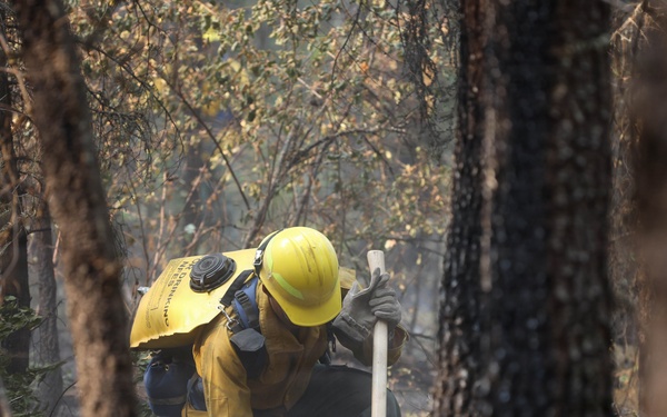 U.S. Army Soldiers support wildland fire suppression in Inchelium, WA