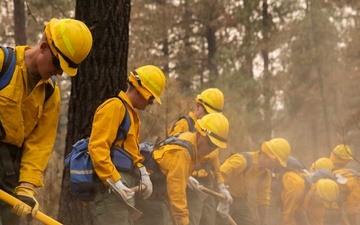 U.S. Army Soldiers from 7th Infantry Division activated as wildland firefighters on the Modrite Fire