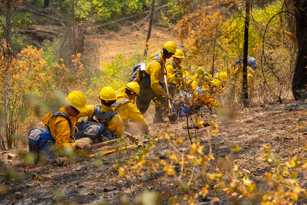 U.S. Army Soldiers from 7th Infantry Division activated as wildland firefighters on the Modrite Fire
