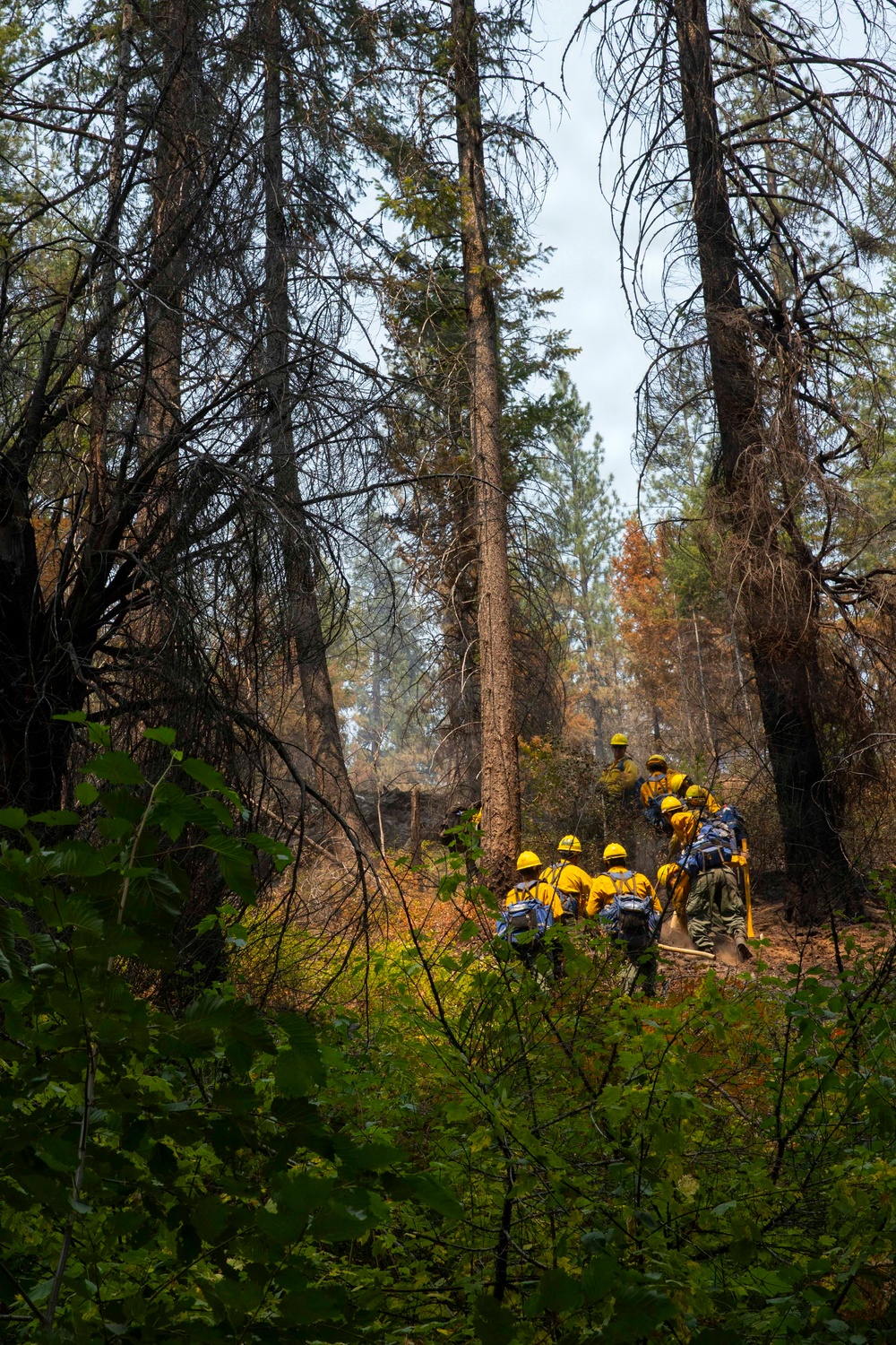 U.S. Army Soldiers from 7th Infantry Division activated as wildland firefighters on the Modrite Fire