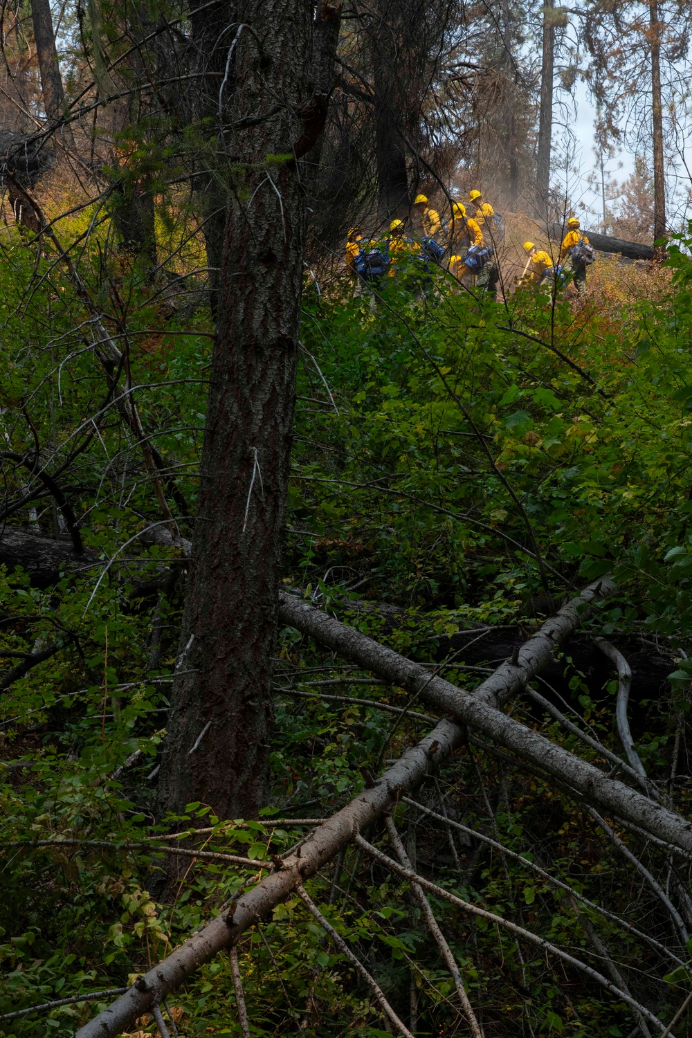 U.S. Army Soldiers from 7th Infantry Division activated as wildland firefighters on the Modrite Fire