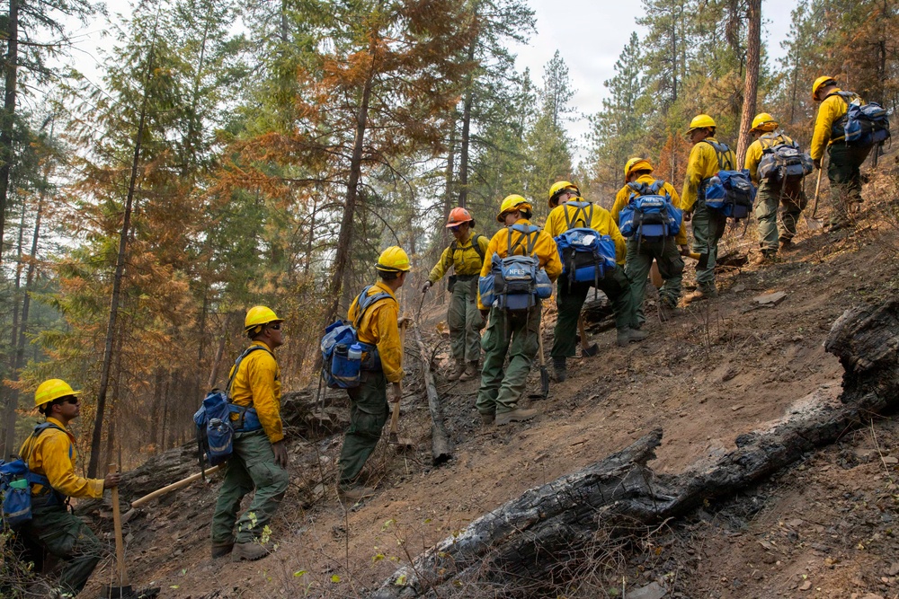U.S. Army Soldiers from 7th Infantry Division activated as wildland firefighters on the Modrite Fire
