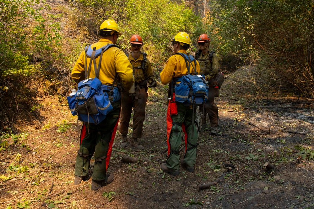 U.S. Army Soldiers from 7th Infantry Division activated as wildland firefighters on the Modrite Fire
