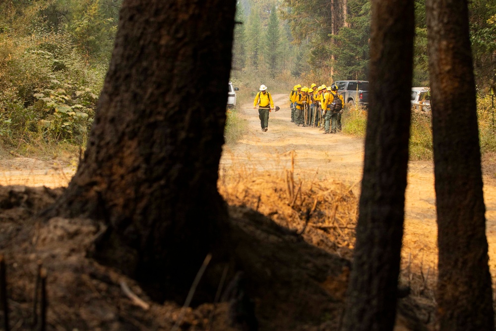 U.S. Army Soldiers from 7th Infantry Division activated as wildland firefighters on the Modrite Fire