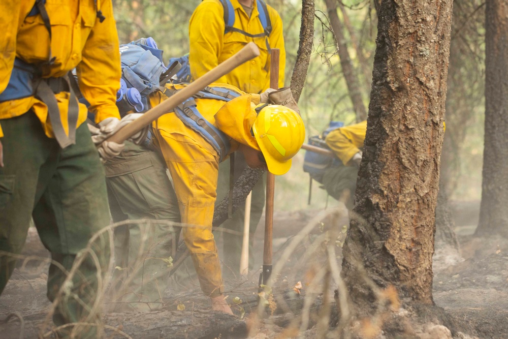 U.S. Army Soldiers from 7th Infantry Division activated as wildland firefighters on the Modrite Fire