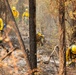U.S. Army Soldiers from 7th Infantry Division activated as wildland firefighters on the Modrite Fire