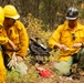 U.S. Army Soldiers from 7th Infantry Division activated as wildland firefighters on the Modrite Fire