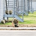 609th Engineer Detachment supports Fort McCoy sidewalk troop project during Warrior Exercise '26