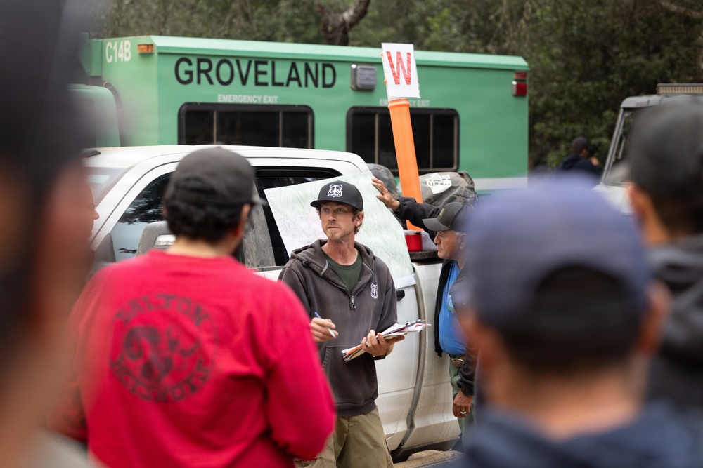 Timber Fire Morning Briefing