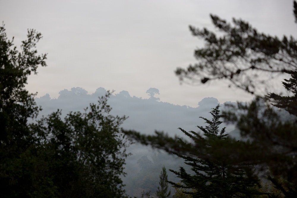 Timber Fire Morning Briefing