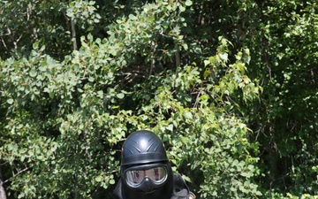 Realistic training enhances survivability