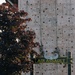 10th Mountain Division Staff Goes Climbing