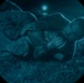LCF-24: MCMAP