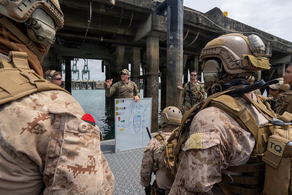 U.S. Coast Guard PSU 301, partner forces enhance maritime security through joint VBSS operations during PANAMAX 2026
