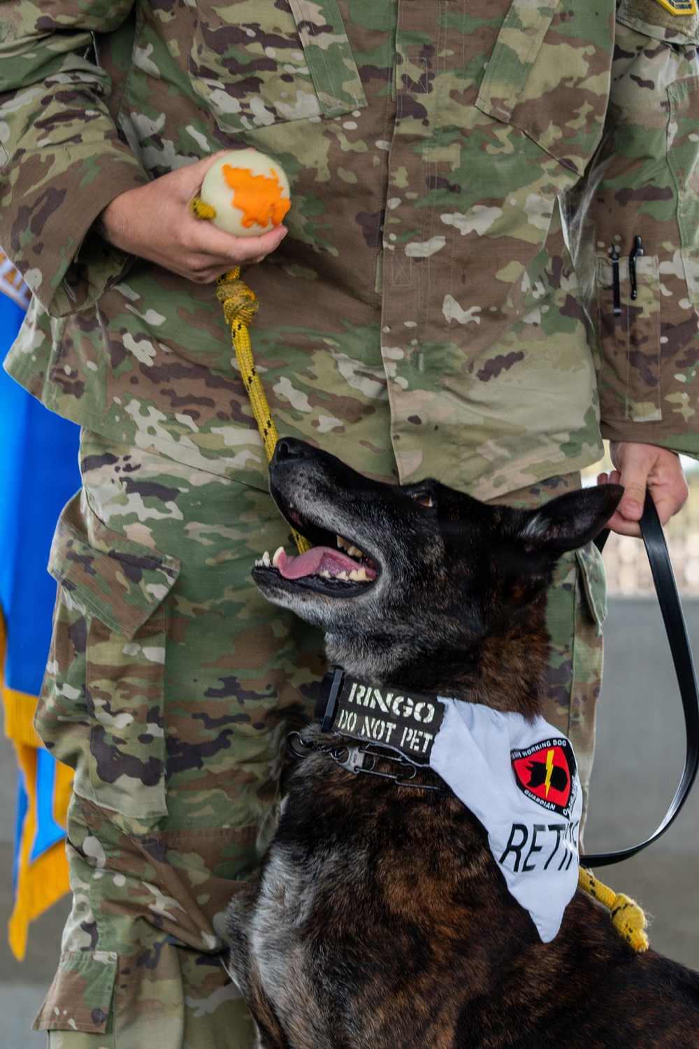 Vandenberg Military Working Dog Ringo B393 Retires From Service