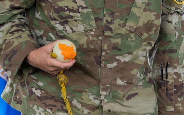 Vandenberg Military Working Dog Ringo B393 Retires From Service