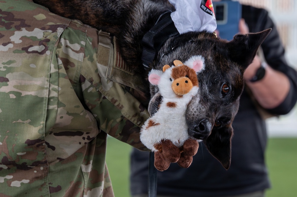 Vandenberg Military Working Dog Ringo B393 Retires From Service