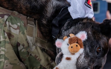 Vandenberg Military Working Dog Ringo B393 Retires From Service