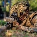 MRF-D Marines, Sailors perform casualty care training with Indonesian marines