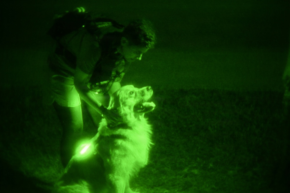 A night vision image captured in green monochrome showing a person interacting with a medium-to-large fluffy dog outdoors. The dog appears alert with its mouth open, and the person is leaning over it, possibly handling a leash or collar. A bright glowing point is visible on the dog, likely a light-up collar or LED tag.