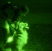 A night vision image captured in green monochrome showing a person interacting with a medium-to-large fluffy dog outdoors. The dog appears alert with its mouth open, and the person is leaning over it, possibly handling a leash or collar. A bright glowing point is visible on the dog, likely a light-up collar or LED tag.