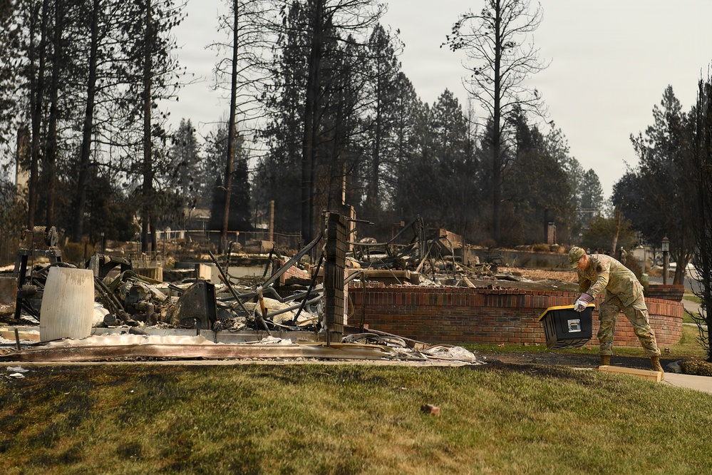 A person in military camouflage uniform is working amid the aftermath of a devastating wildfire that has destroyed an entire residential neighborhood. Structures have been reduced to rubble, charred debris, and burned-out foundations, while surrounding tall pine trees show severe fire damage. A low brick wall and a patch of green grass near the sidewalk are among the few surviving features in the otherwise destroyed landscape.