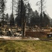 A person in military camouflage uniform is working amid the aftermath of a devastating wildfire that has destroyed an entire residential neighborhood. Structures have been reduced to rubble, charred debris, and burned-out foundations, while surrounding tall pine trees show severe fire damage. A low brick wall and a patch of green grass near the sidewalk are among the few surviving features in the otherwise destroyed landscape.