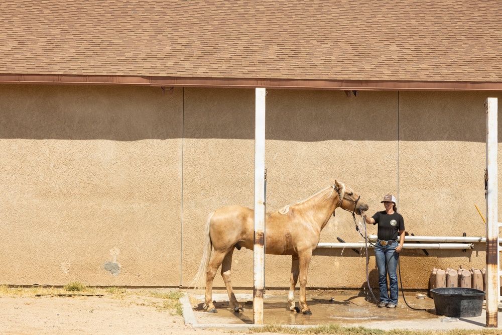 Mounted Color Guard Operations