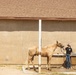 Mounted Color Guard Operations