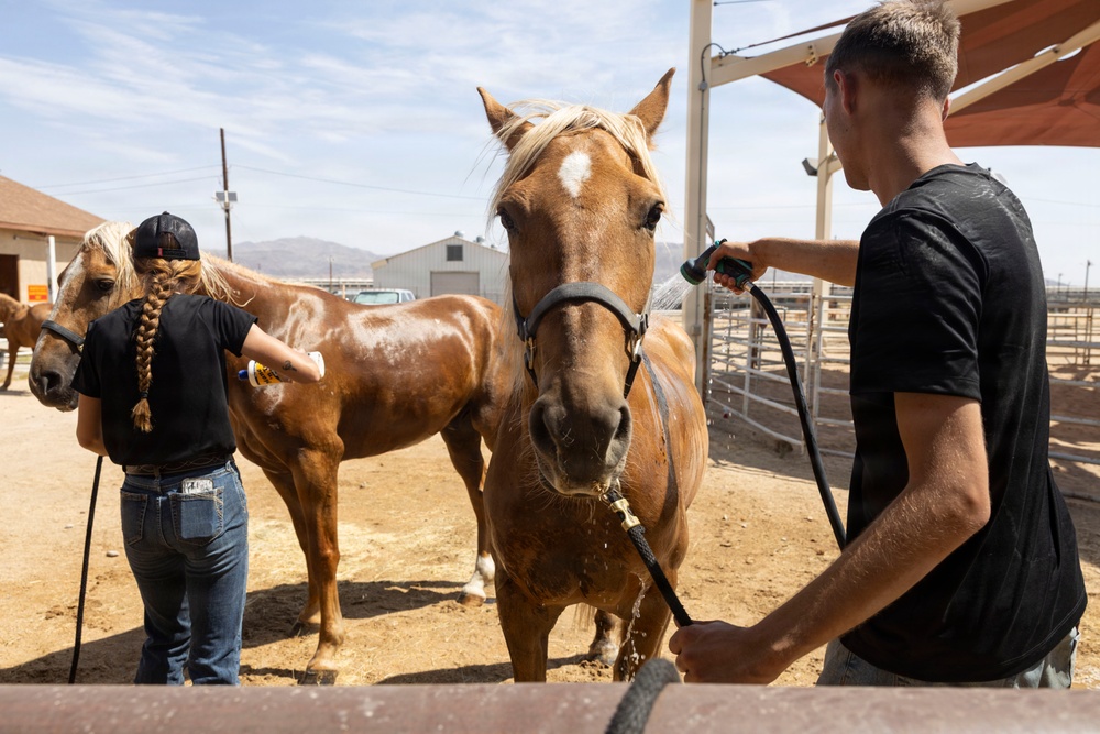 Mounted Color Guard Operations