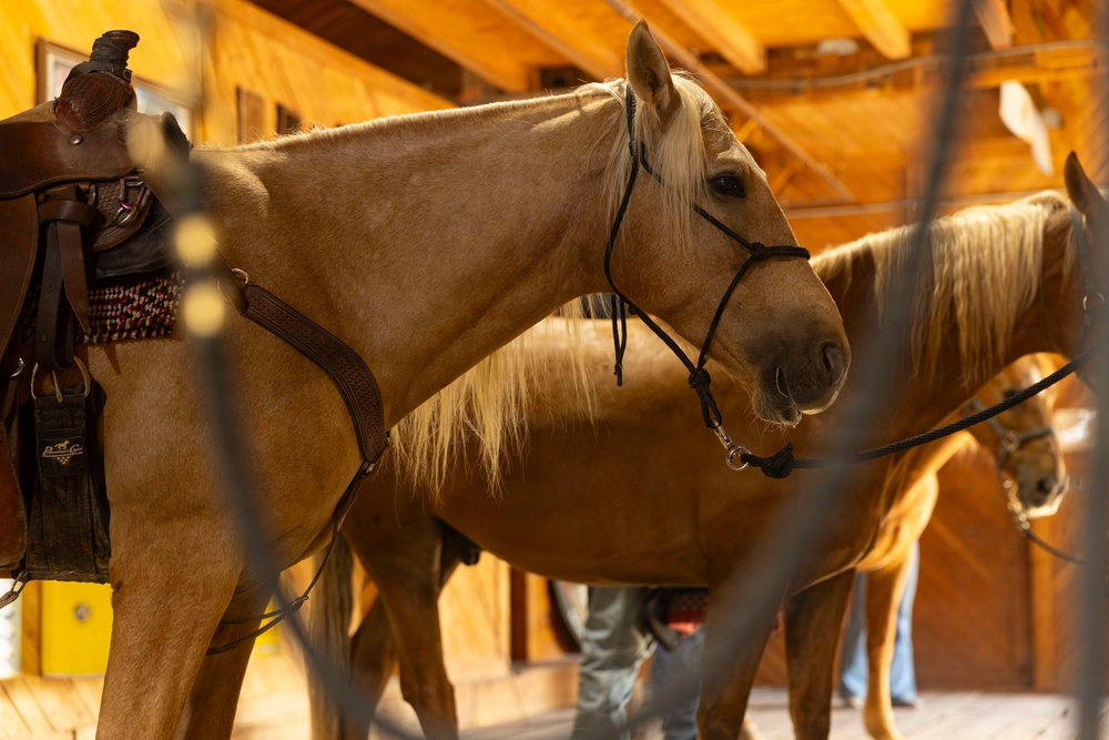 Mounted Color Guard Operations