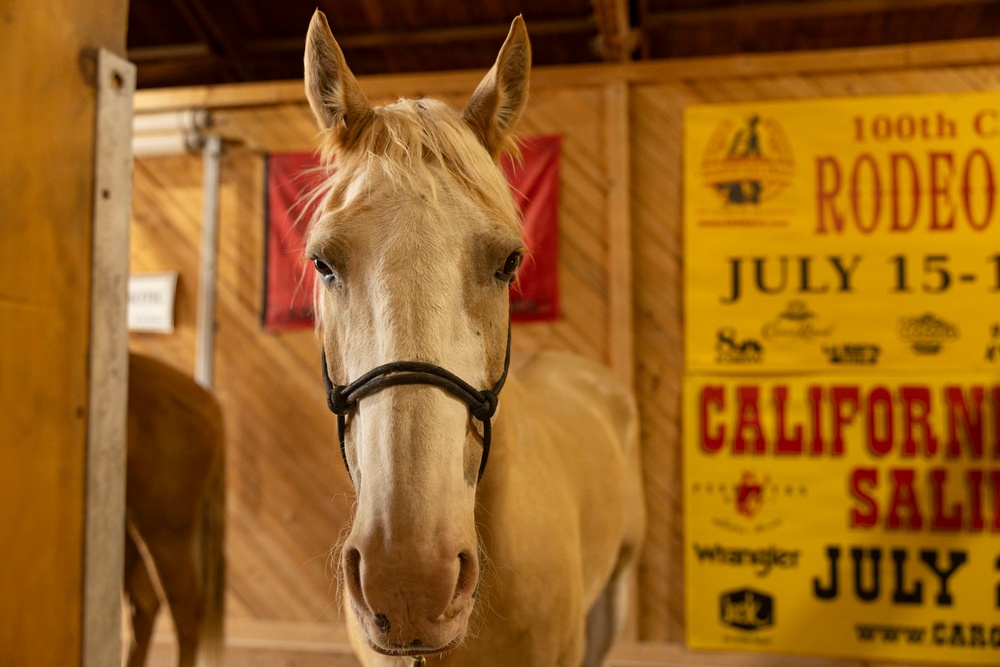 Mounted Color Guard Operations
