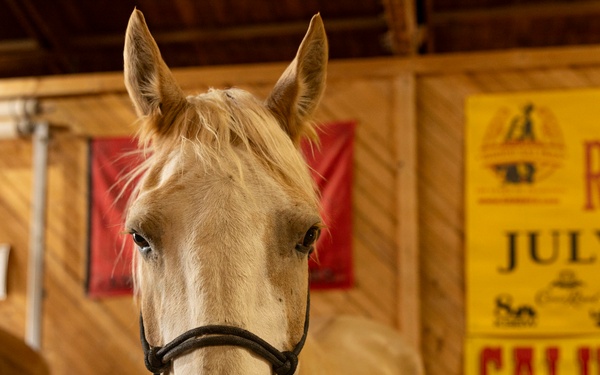 Mounted Color Guard Operations