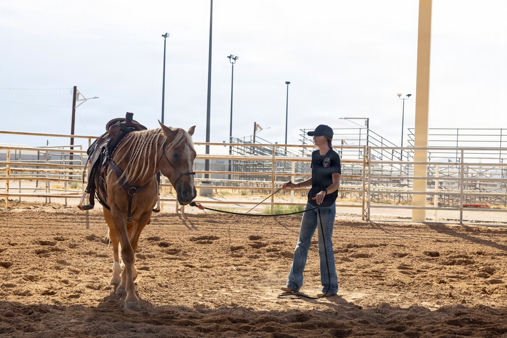 Mounted Color Guard Operations