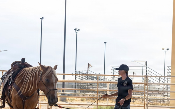 Mounted Color Guard Operations