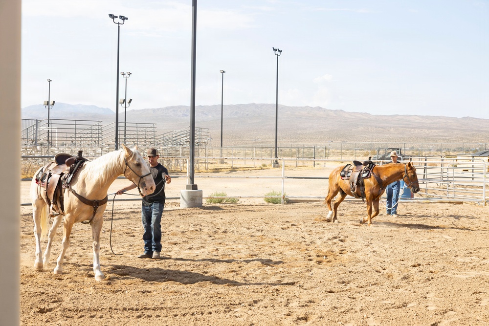 Mounted Color Guard Operations