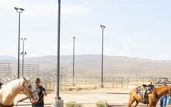 Mounted Color Guard Operations