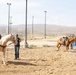 Mounted Color Guard Operations