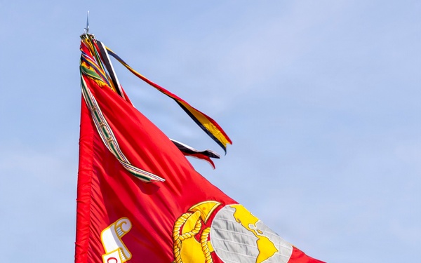 A U.S. Marine in combat utility uniform (MARPAT camouflage) carries the guidon of Combat Logistics Regiment 2, Fleet Marine Corps (FMC), during what appears to be a formal military ceremony. The large red flag features the Marine Corps Eagle, Globe, and Anchor emblem in gold and silver, bordered with gold fringe. The setting appears to be an outdoor parade field with trees visible in the background.