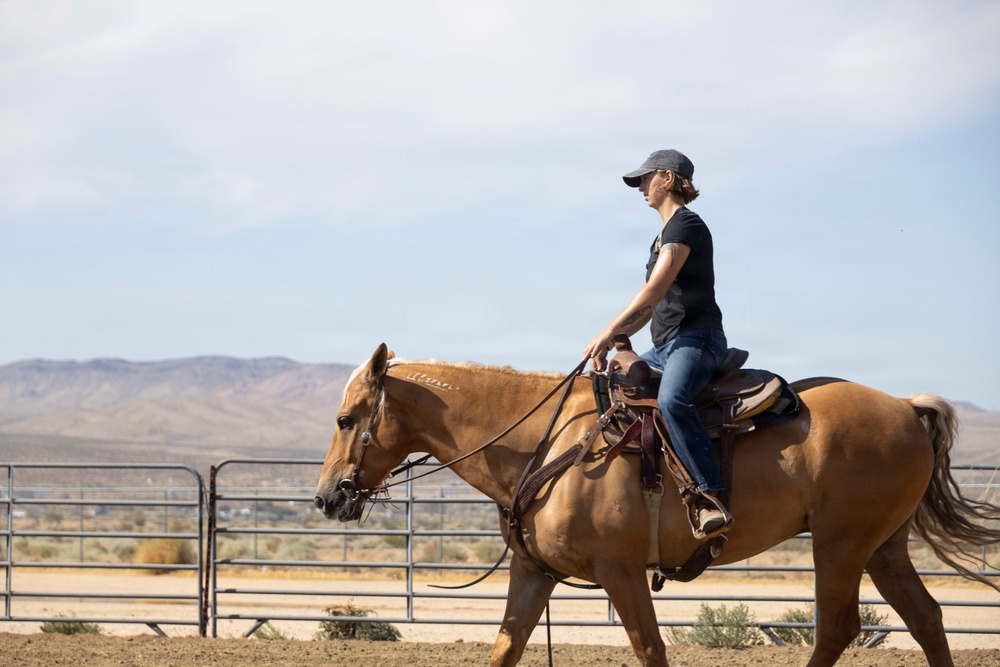 Mounted Color Guard Operations