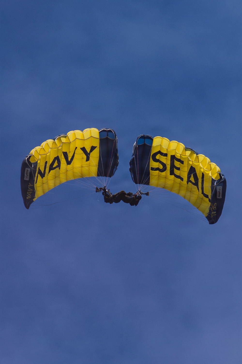 Two Navy SEAL parachutists are performing a formation skydive against a clear blue sky. Their parachutes are yellow and black, prominently displaying 'NAVY' and 'SEAL' text respectively. The two canopies appear to be flying in close proximity, suggesting a coordinated aerial demonstration.
