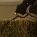 Mounted Color Guard Operations
